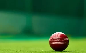 Bluestar Cricket APK